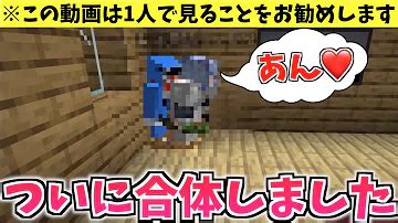 マイクラせっくす|minecraft videos